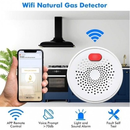 detector wifi